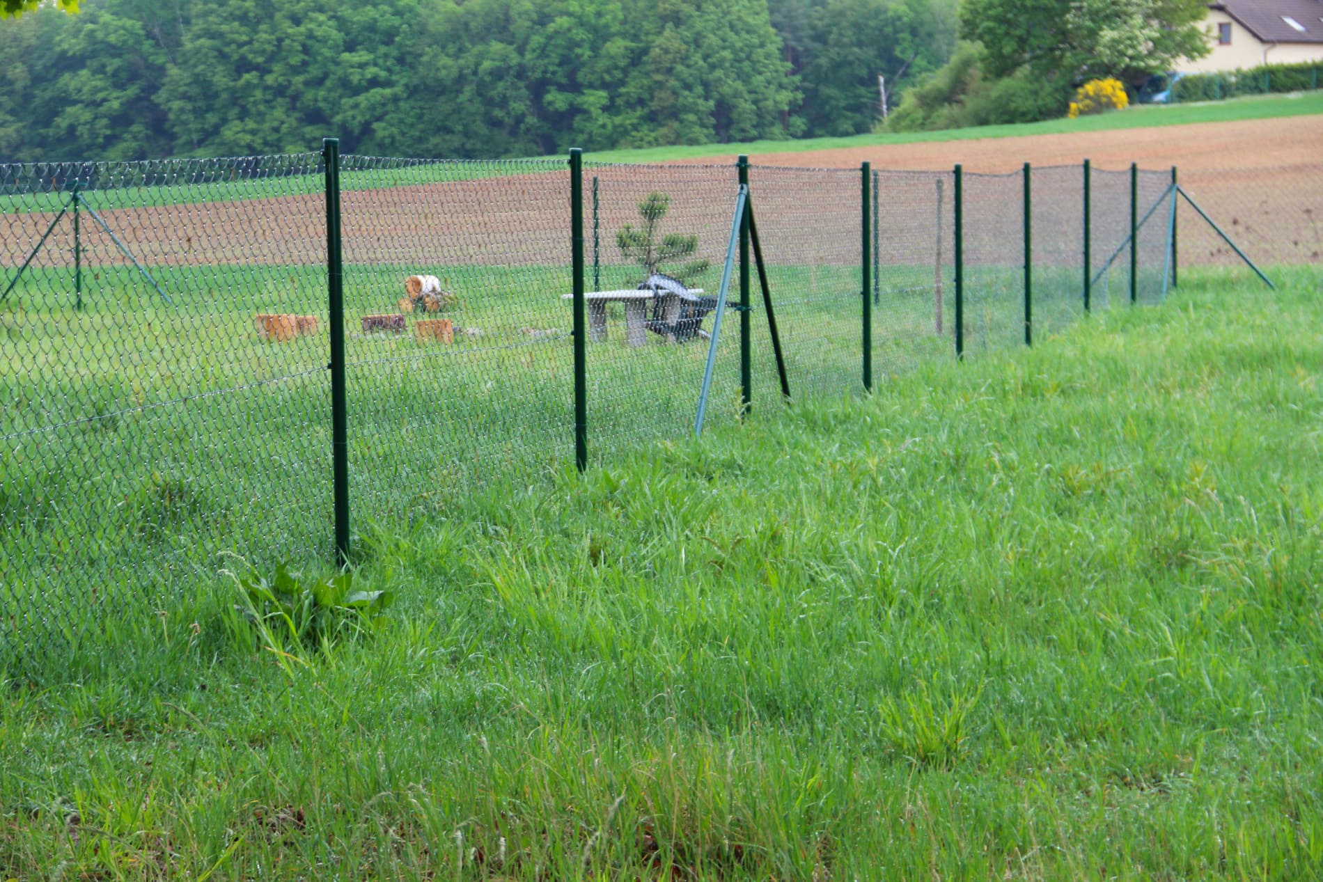 zelené pletivo bez napínacího drátu